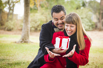 Image showing Mixed Race Couple Sharing Christmas or Valentines Day Gift Outsi