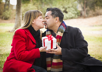 Image showing Mixed Race Couple Sharing Christmas or Valentines Day Gift Outsi