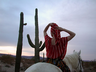 Image showing Desert Retreat