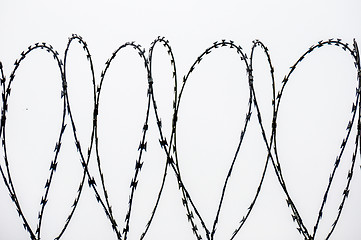 Image showing Barbed wire