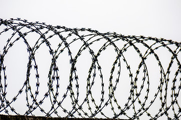 Image showing Barbed wire