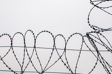 Image showing Barbed wire