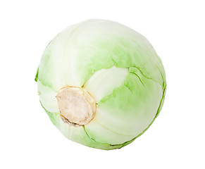 Image showing Cabbage