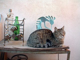 Image showing Kokopelli Cat