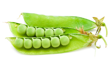 Image showing Pea