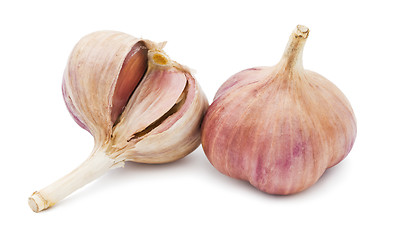 Image showing Garlic