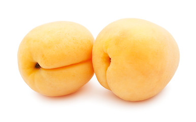 Image showing Apricot