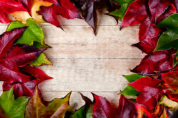 Image showing  frame of autumn leaves