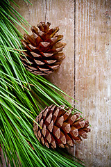 Image showing christmas fir tree with pinecones 