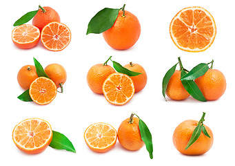 Image showing Mandarins