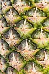 Image showing Pineapple