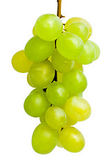 Image showing Grapes