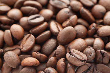 Image showing Coffee beans