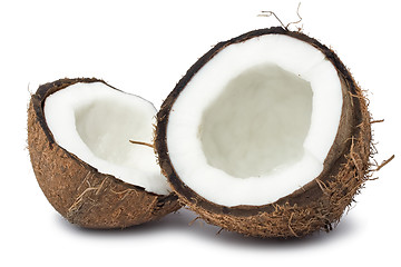 Image showing Coconut