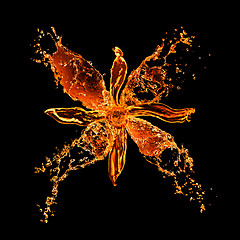 Image showing flower from water splashes isolated on black