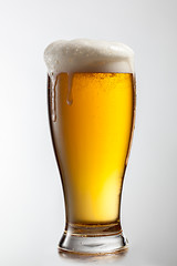 Image showing Beer in glass isolated on white background