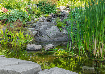 Image showing Garden with aquatic plants, pond and decorative stones