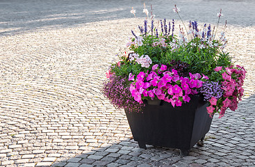 Image showing Flowers decorating a city square