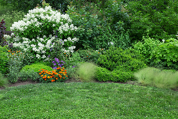 Image showing Blooming garden with green lawn