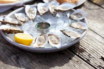 Image showing raw oysters