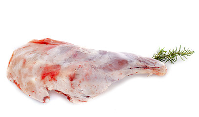 Image showing leg of lamb