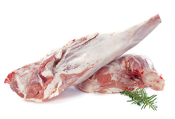Image showing leg and shoulder of lamb