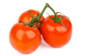 Image showing Ripe Tomatoes