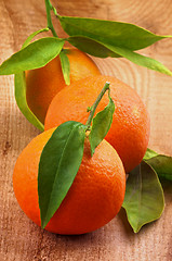 Image showing Tangerines