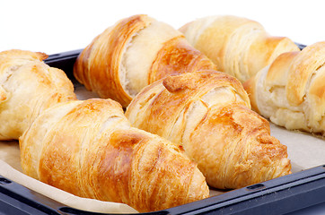 Image showing Croissants