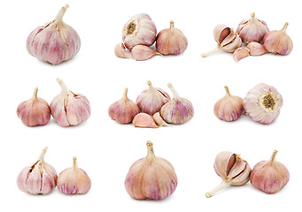 Image showing Garlic