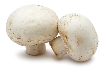 Image showing Champignon mushrooms