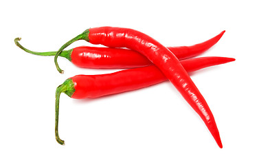 Image showing Hot chili pepper