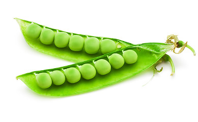 Image showing Pea