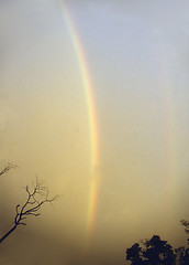 Image showing Rainbow