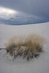 Image showing White Sands