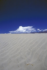 Image showing White Sands