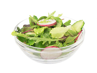 Image showing Salad from cut cucumbers, garden radish and lettuce leaves