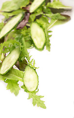Image showing cut cucumbers, garden radish and lettuce leaves