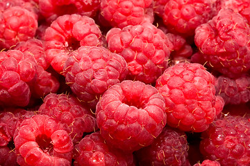 Image showing Raspberries