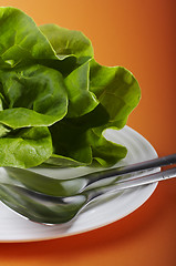 Image showing salad