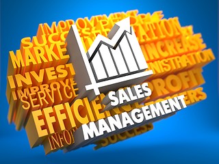 Image showing Sales Management. Wordcloud Concept.