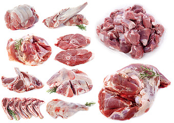 Image showing lamb meat