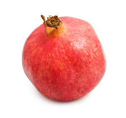 Image showing Pomegranate