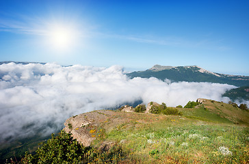Image showing Meadow in the mountains