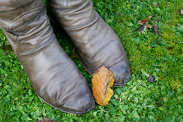 Image showing Fall leaf rests on a woman's winter boots