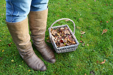 Image showing Woman wearing boots standing with a basket of fall leaves