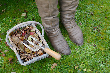 Image showing Woman's winter boots next to a basket of autumn leaves