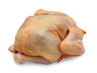 Image showing hen ready to preparation on a white background