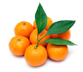 Image showing Ripe tangerines or mandarin with leaf isolated on white backgrou