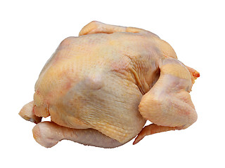 Image showing hen ready to preparation on a white background